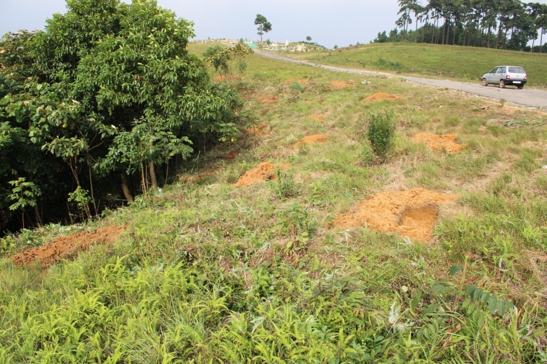 E:\KM\Images\Implementation of Activities\Tluh\Contour Trenches\IMG_2705.JPG